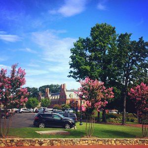 Meet your Posher, Ellen